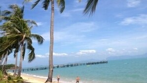 A beach with palm trees, a pier extending into the water, and a clear sky. - Harry's Bungalows & Restaurant (Koh Samui)