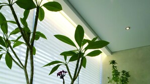 Una habitación moderna con un ventanal grande, una planta en maceta, un banco acolchado y una pequeña mesa con tazas y una tetera.