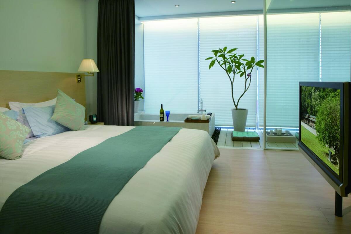 A modern hotel room with a large bed, a bedside table, a TV, a potted plant, and a window with blinds.