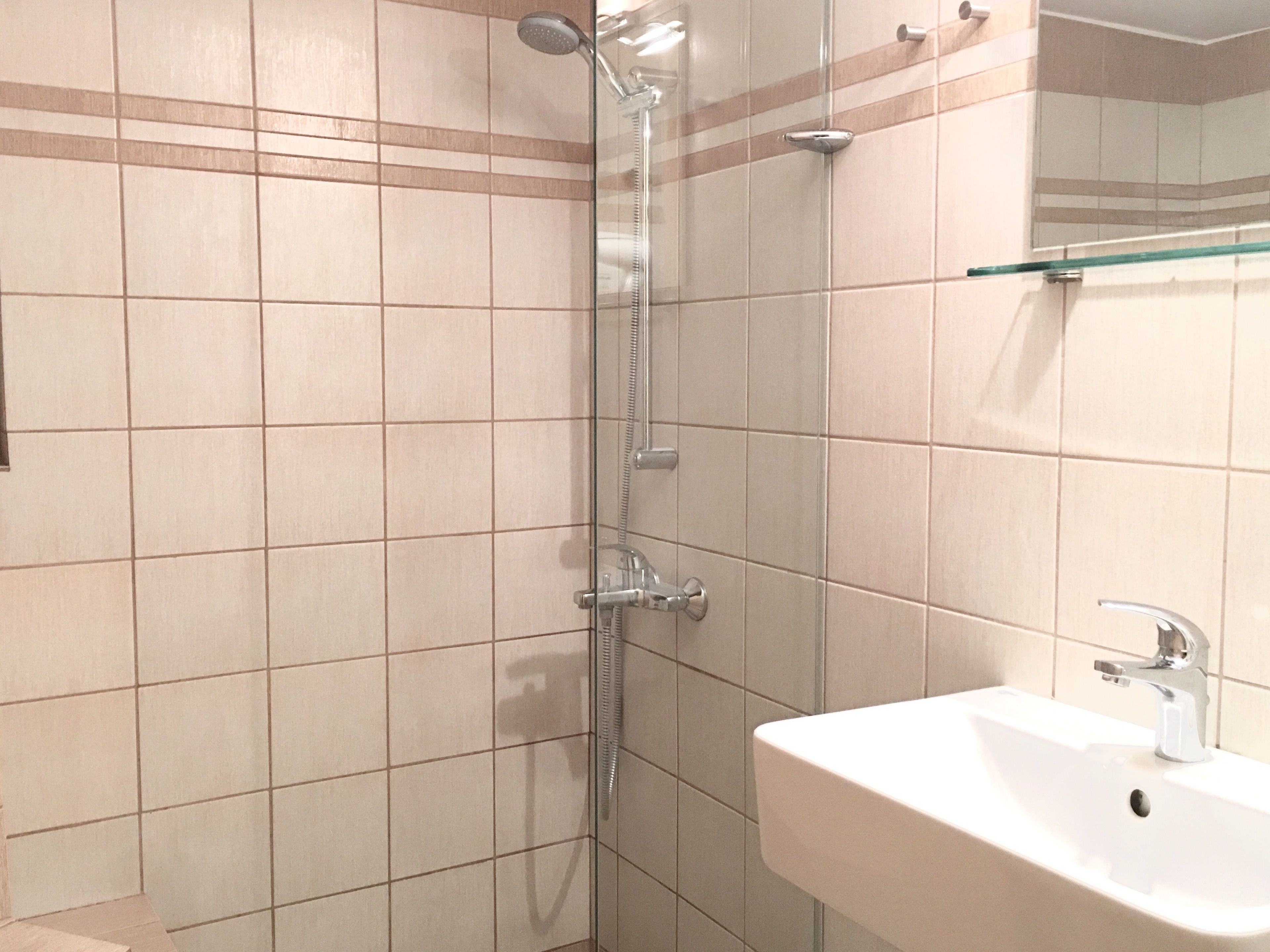 A bathroom with a shower, a sink, and a glass shelf.