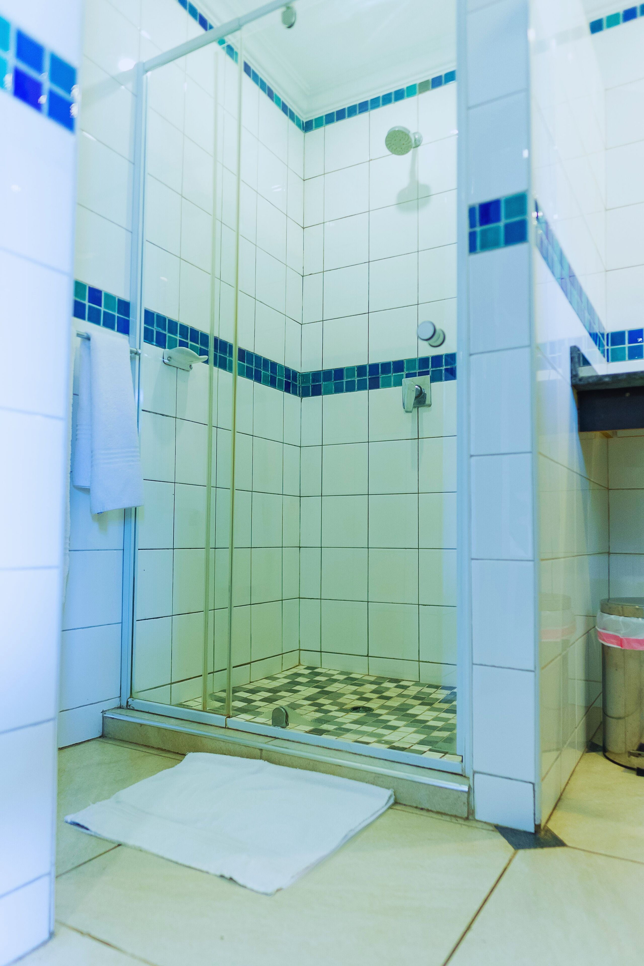 Une douche fermée par des parois de verre, avec des murs recouverts de carreaux bleus et un sol à carreaux.