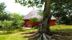 Une hutte au toit de chaume, à l’extérieur peint en rouge, entourée d’une végétation luxuriante et d’un grand arbre aux racines imposantes.