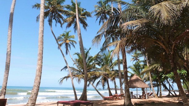 Une plage bordée de palmiers, une hutte à toit de chaume et des chaises longues.
