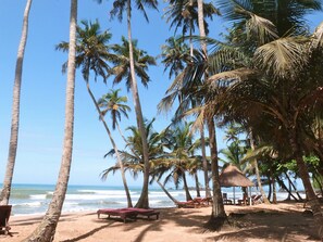 Una playa con palmeras, una cabaña de techo de paja y sillas de descanso.