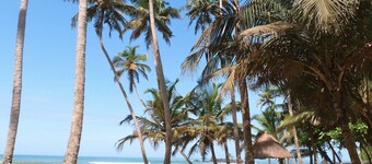 Ankobra Beach Resort