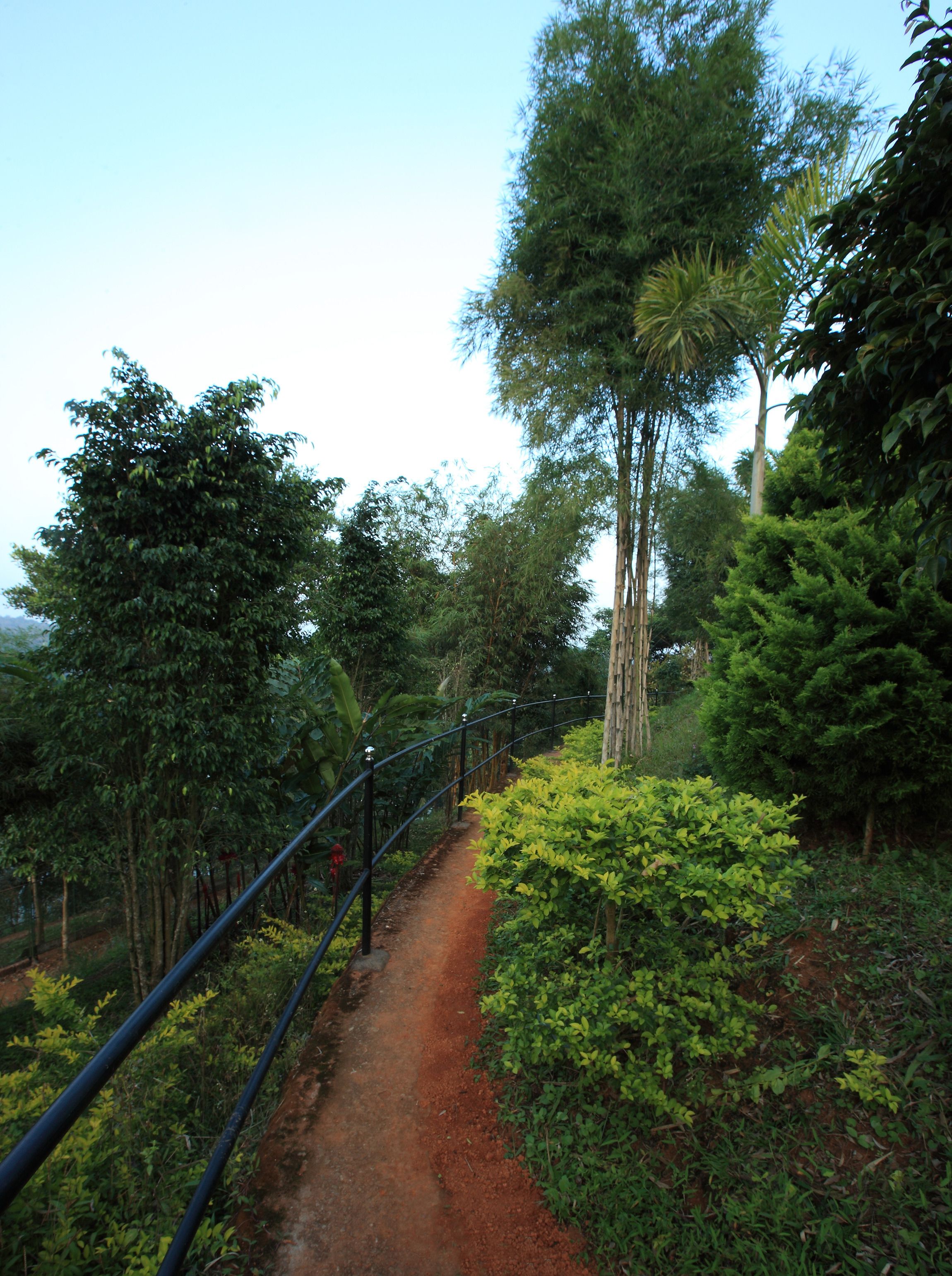 Un sendero de tierra bordeado de vegetación exuberante y una barandilla de metal.