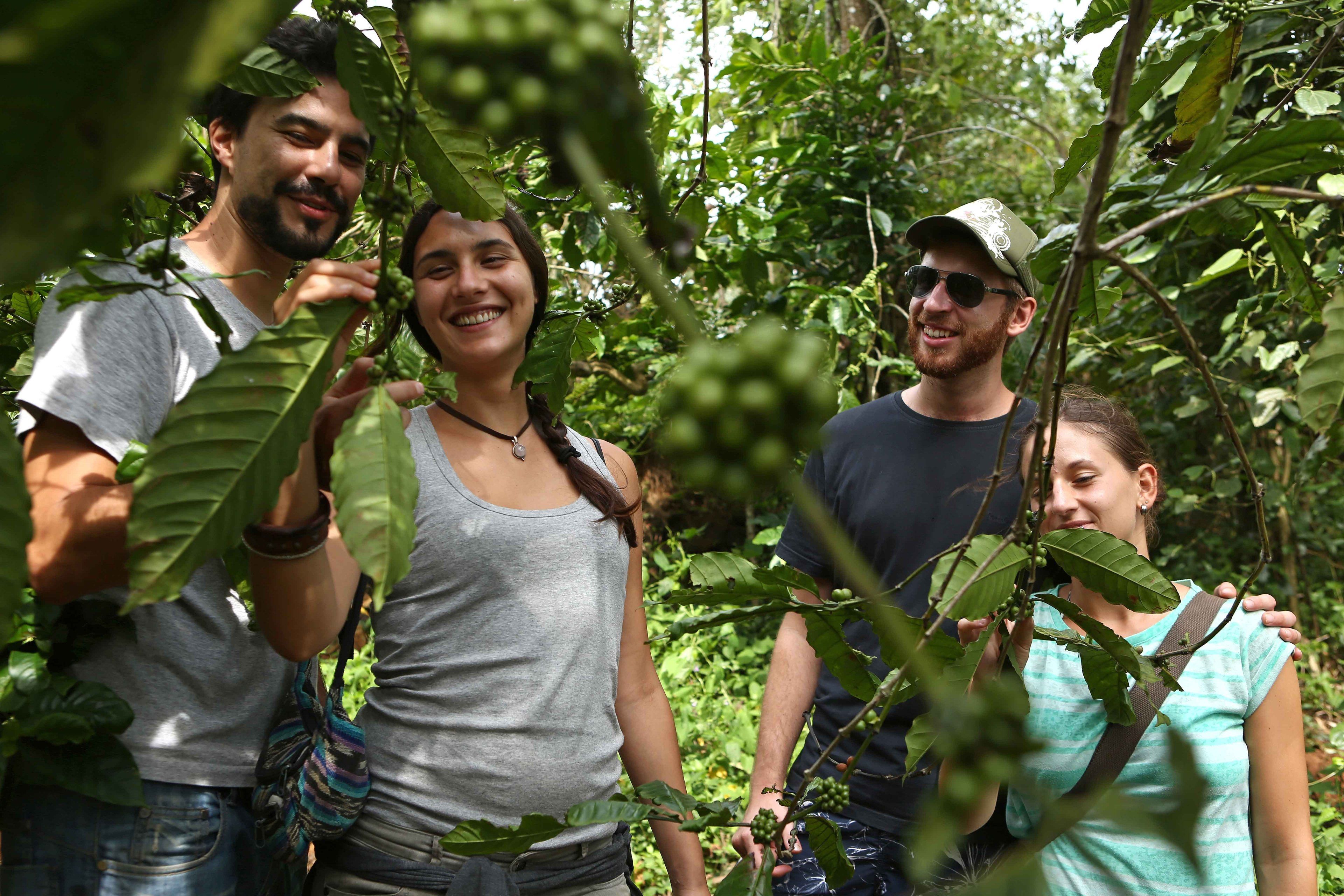 Un grupo de personas en un bosque.