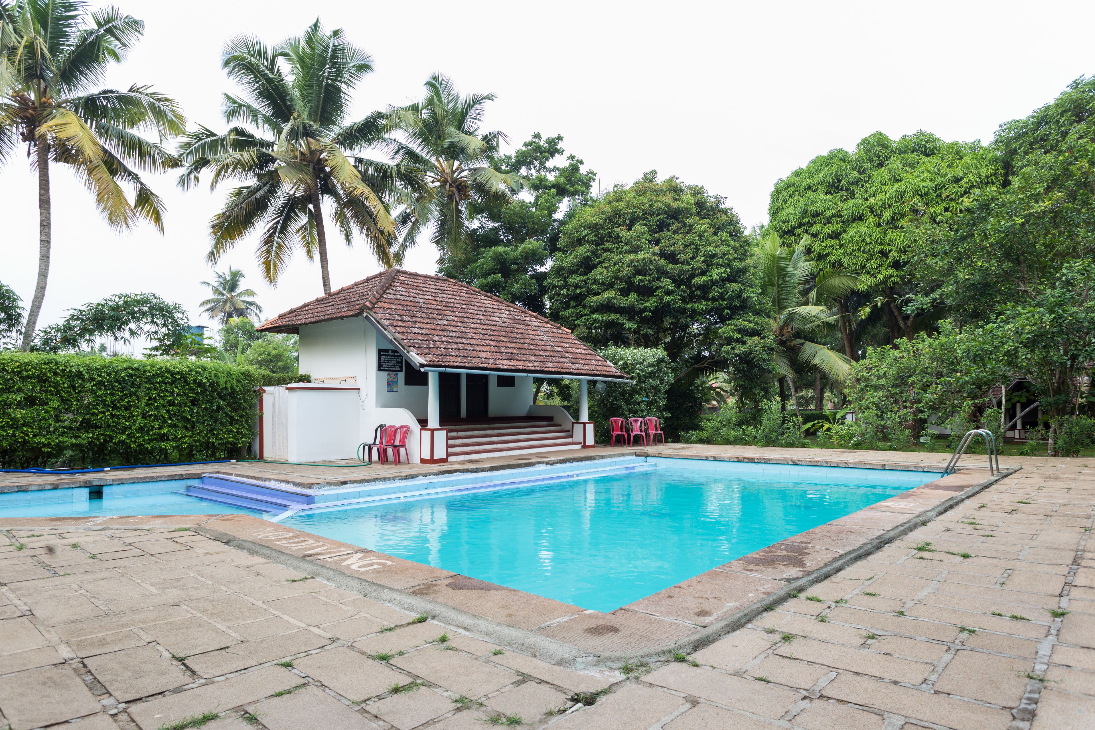 A swimming pool with a small pavilion and steps leading into the water, surrounded by lush greenery and palm trees.