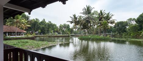 A view from a covered balcony overlooking a calm lake with palm trees and a traditional building in the background.