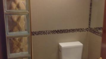 A bathroom with a toilet, bidet, and a glass shower enclosure.