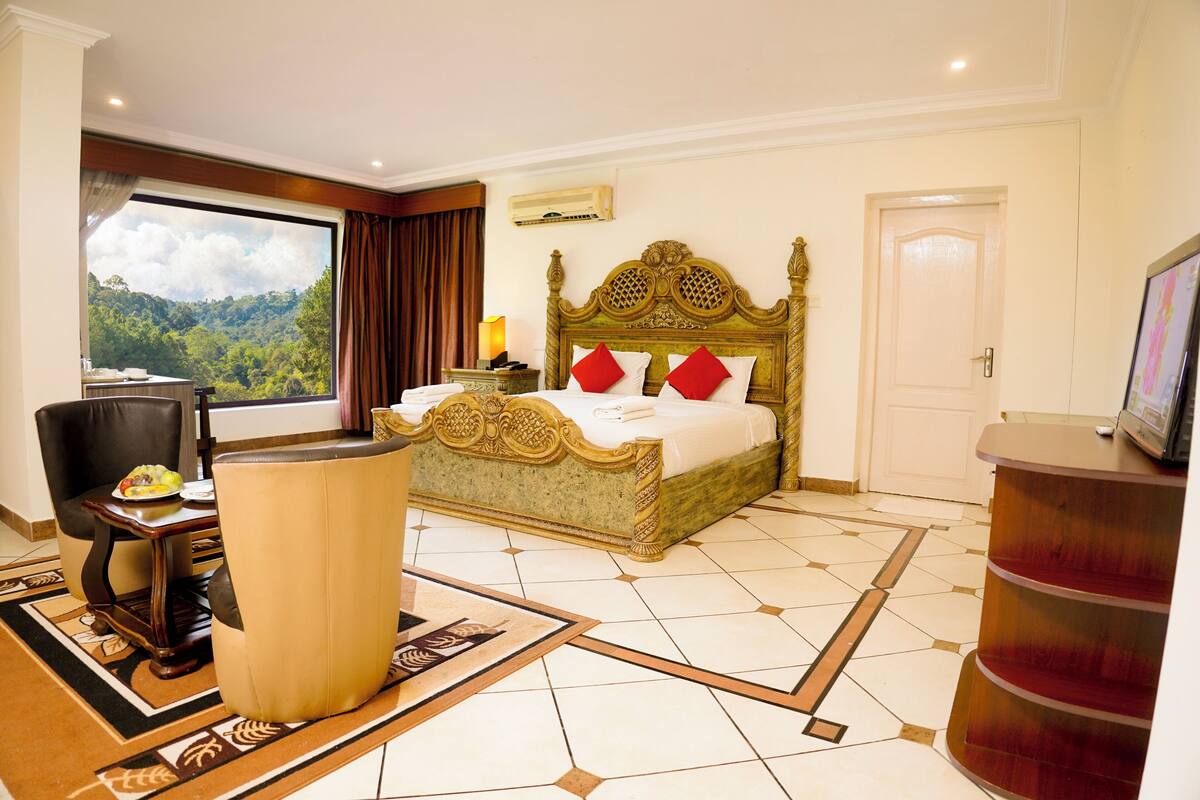 A hotel room with a large bed, a desk with a chair, a TV, and a view of the outdoors.
