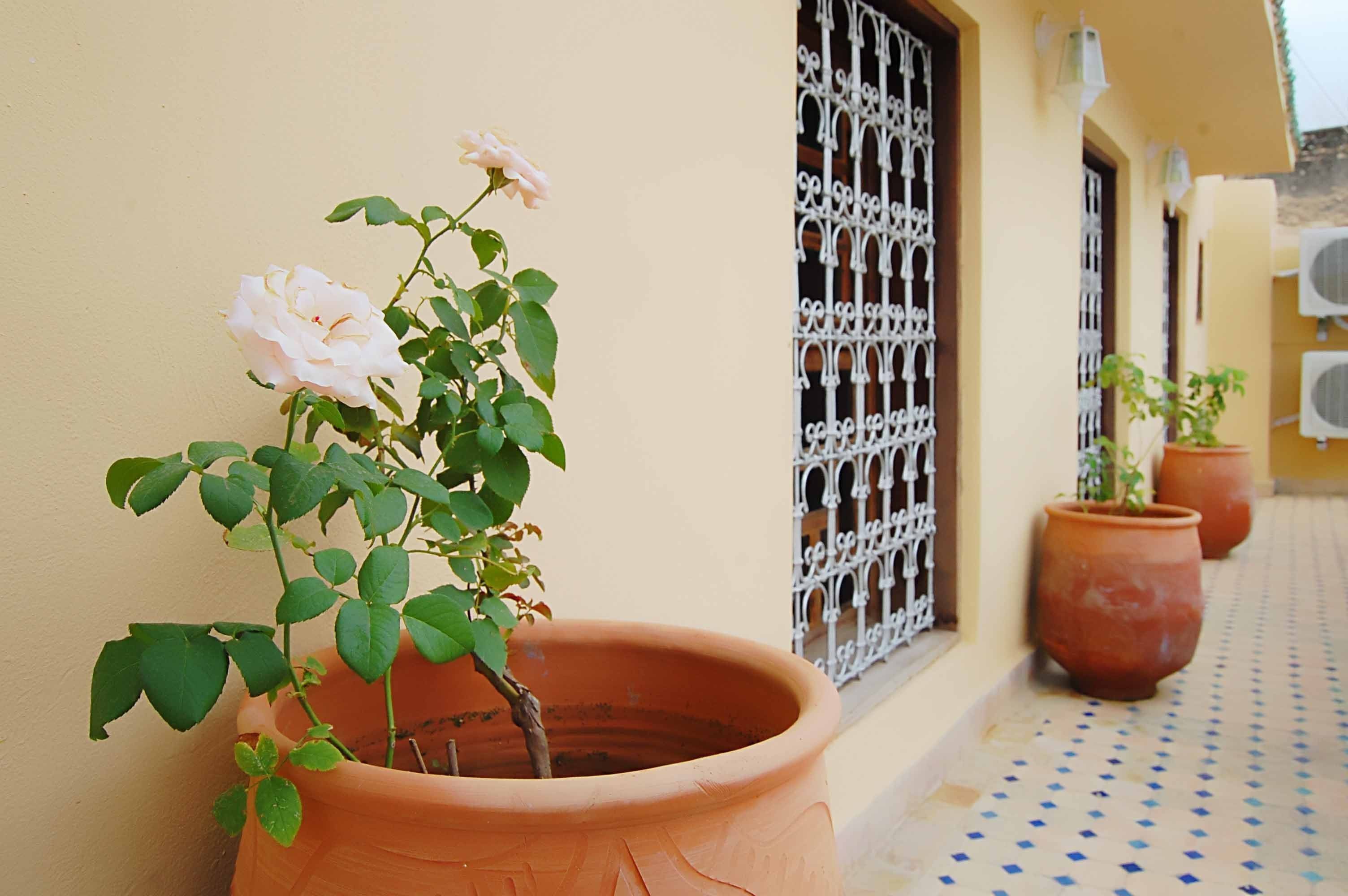 Foto - Riad Fes Aicha & SPA