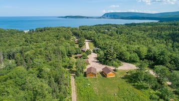 A remote cabin surrounded by dense forest with a clear view of the lake and mountains in the distance.