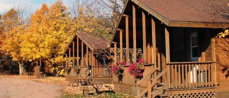 A rustic cabin-style building with a porch and steps, surrounded by autumn foliage.