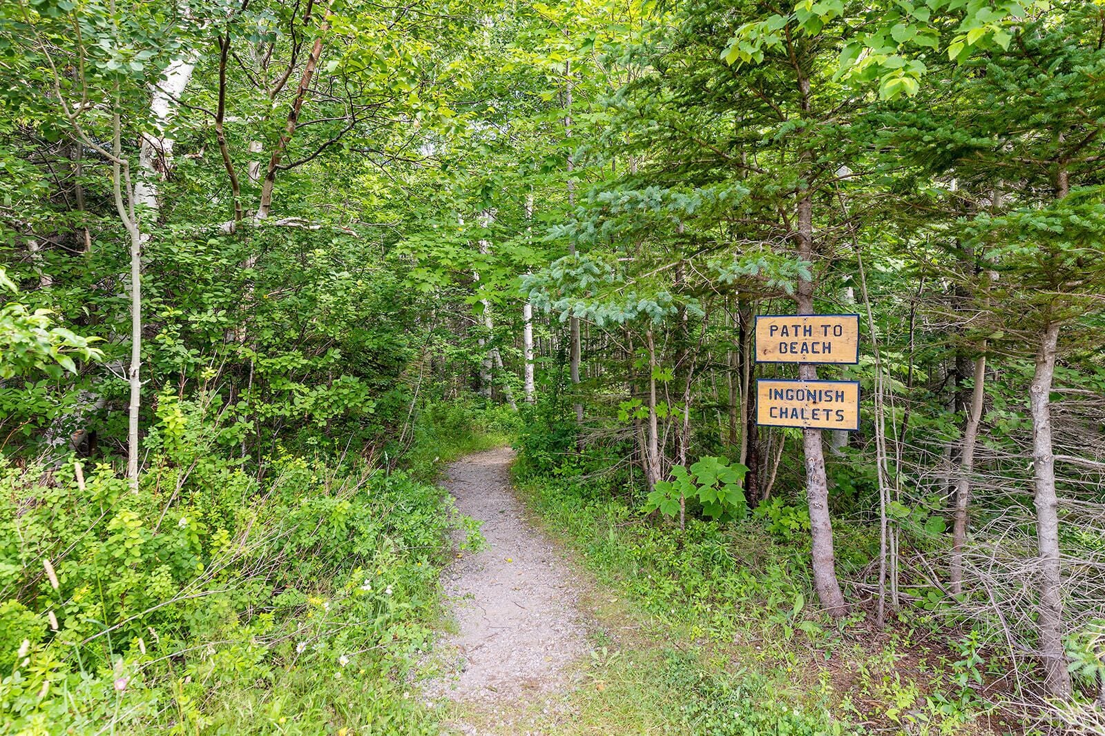 A forest path with signs indicating a path to the beach and Ingonish Chalet.