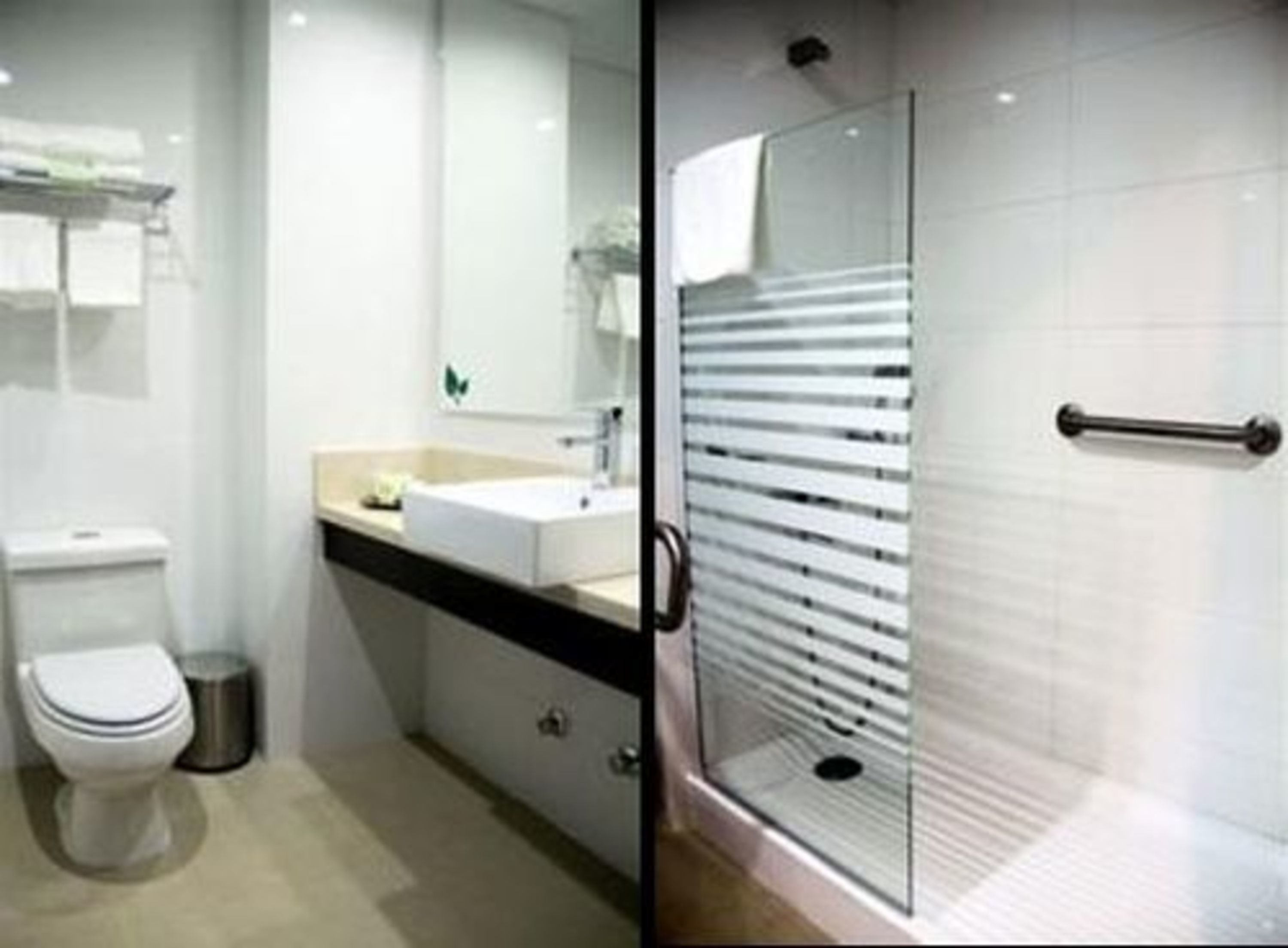 combined shower/bathtub, hair dryer, towels