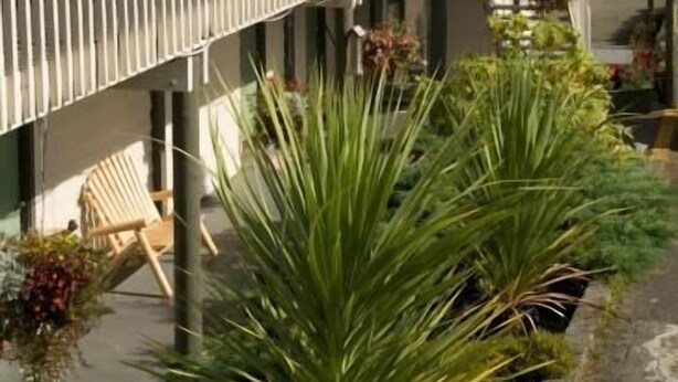 A motel with a covered outdoor area, a covered walkway, and a view of the mountains in the background. - Pacific Rim Motel (Ucluelet)