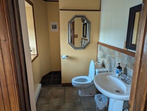 A bathroom with a toilet, sink, and mirror. - Auberge Le St-Gab (Saint-Gabriel)