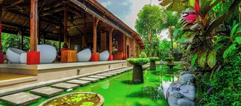 Ubud Heaven Penestanan