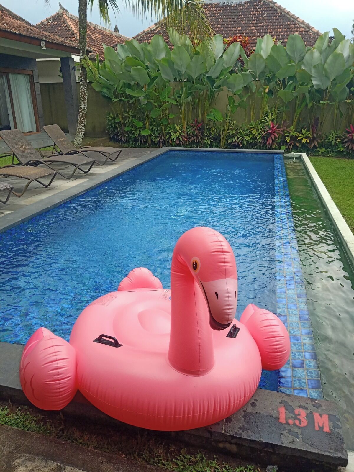 A swimming pool with a pink inflatable flamingo and lounge chairs.