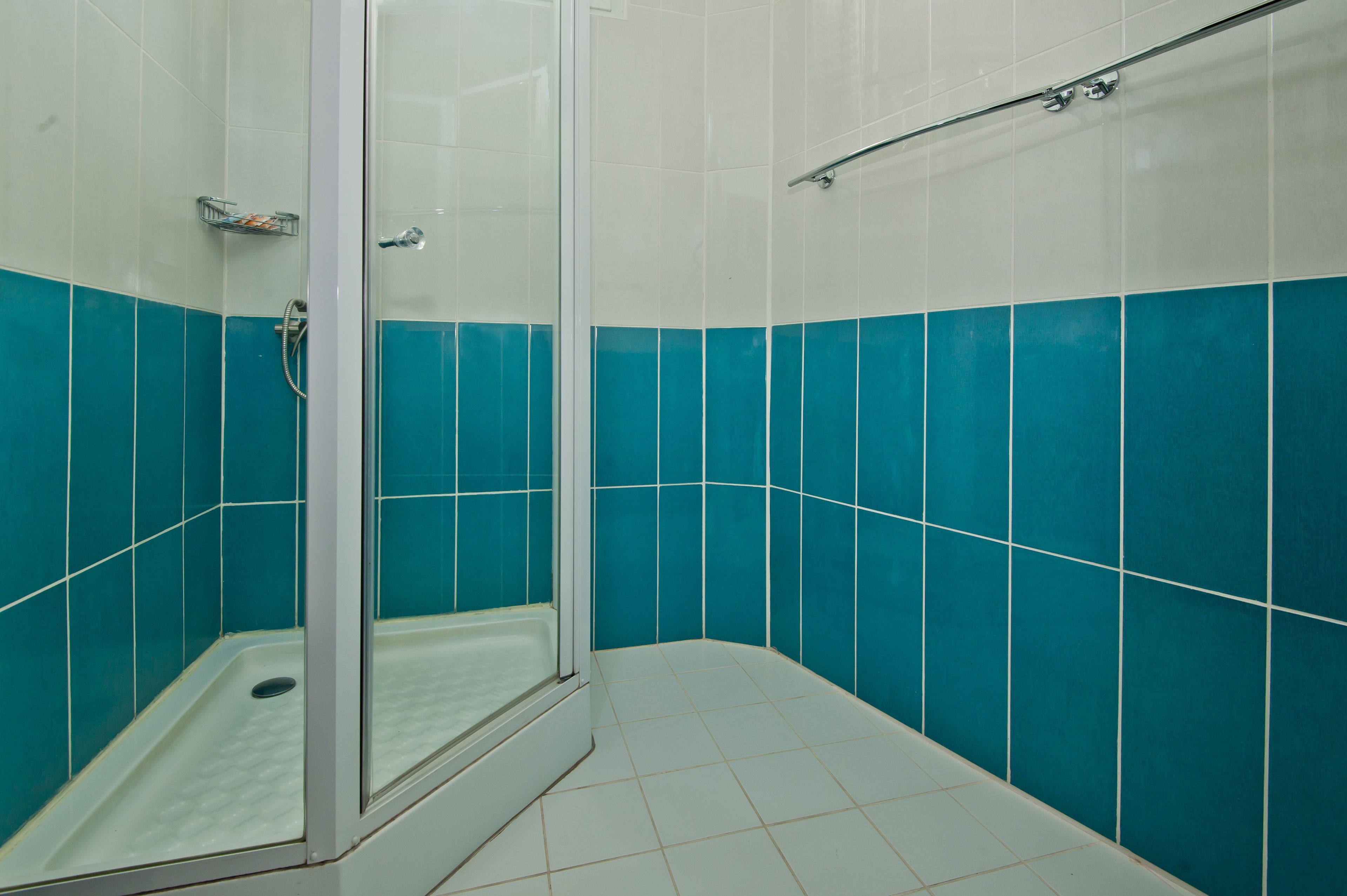 deluxe room | bathroom shower