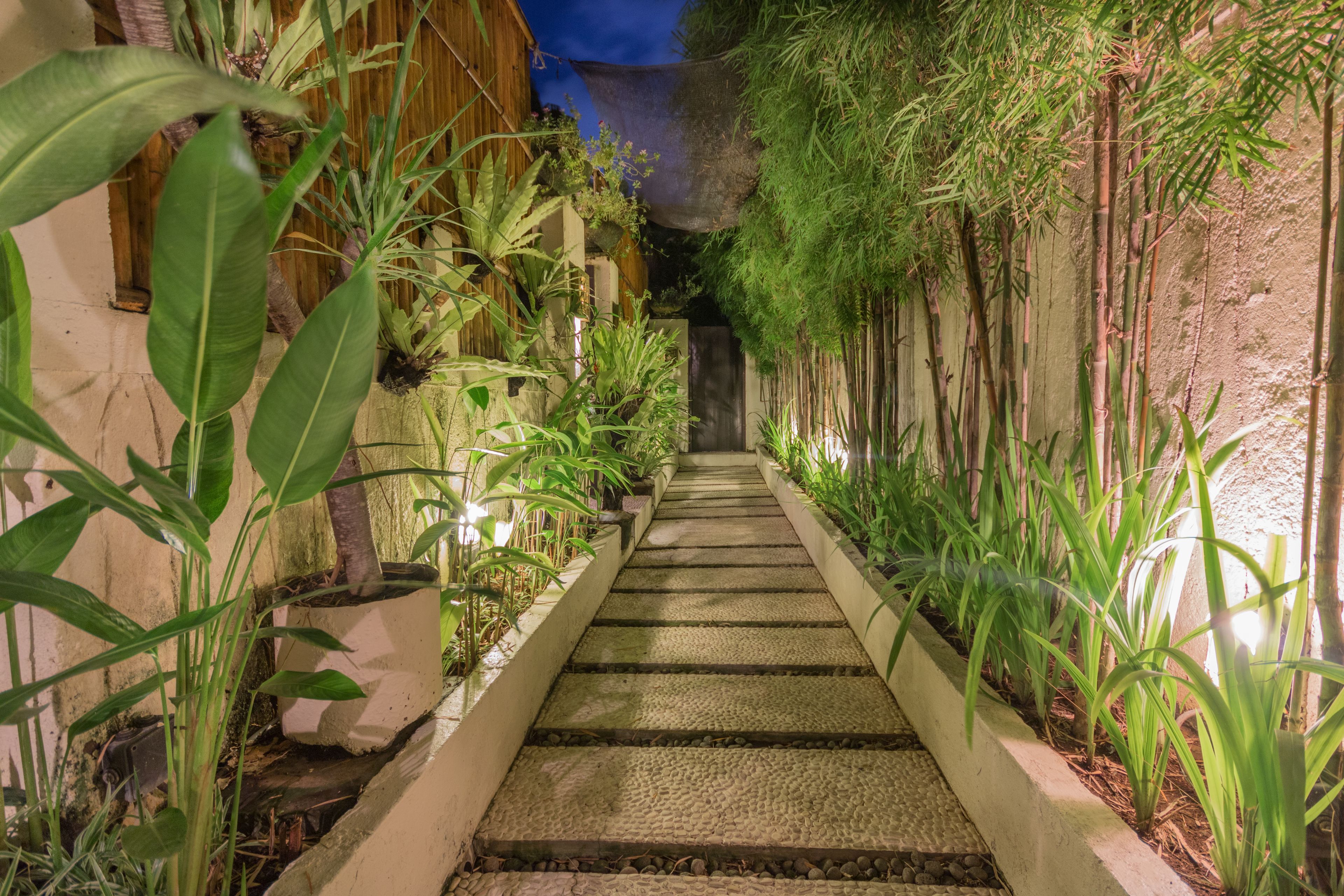 A stone pathway flanked by lush greenery and bamboo plants, leading to a wooden structure.
