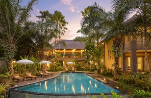 Zona de piscina con sillones de descanso y sombrillas, rodeada de plantas tropicales y un edificio con balcón.