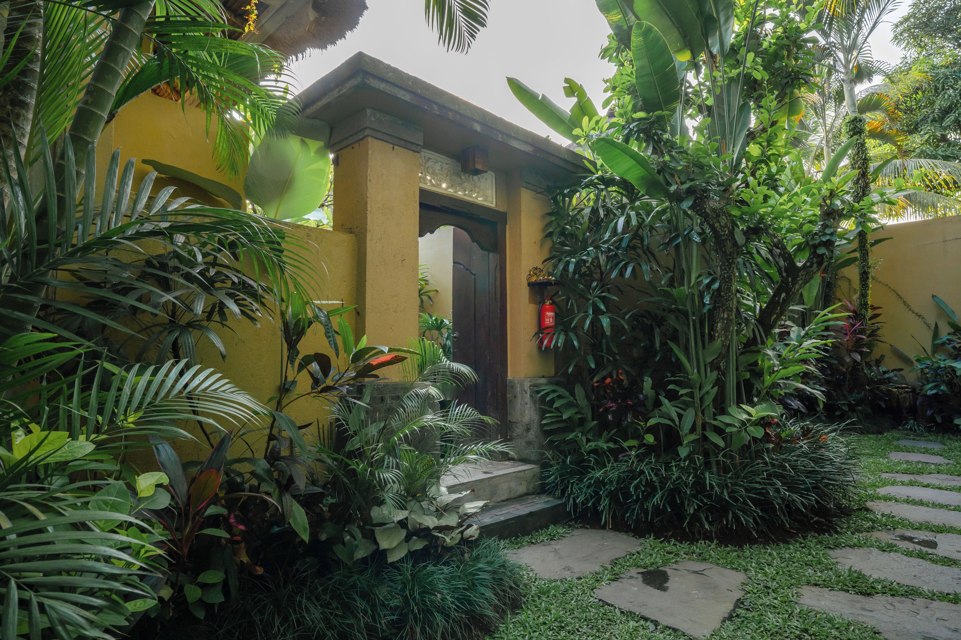 Garden view