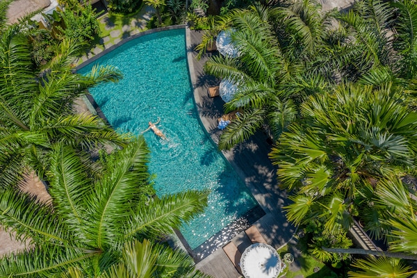 Kolam renang outdoor, dengan payung kolam renang dan kursi berjemur