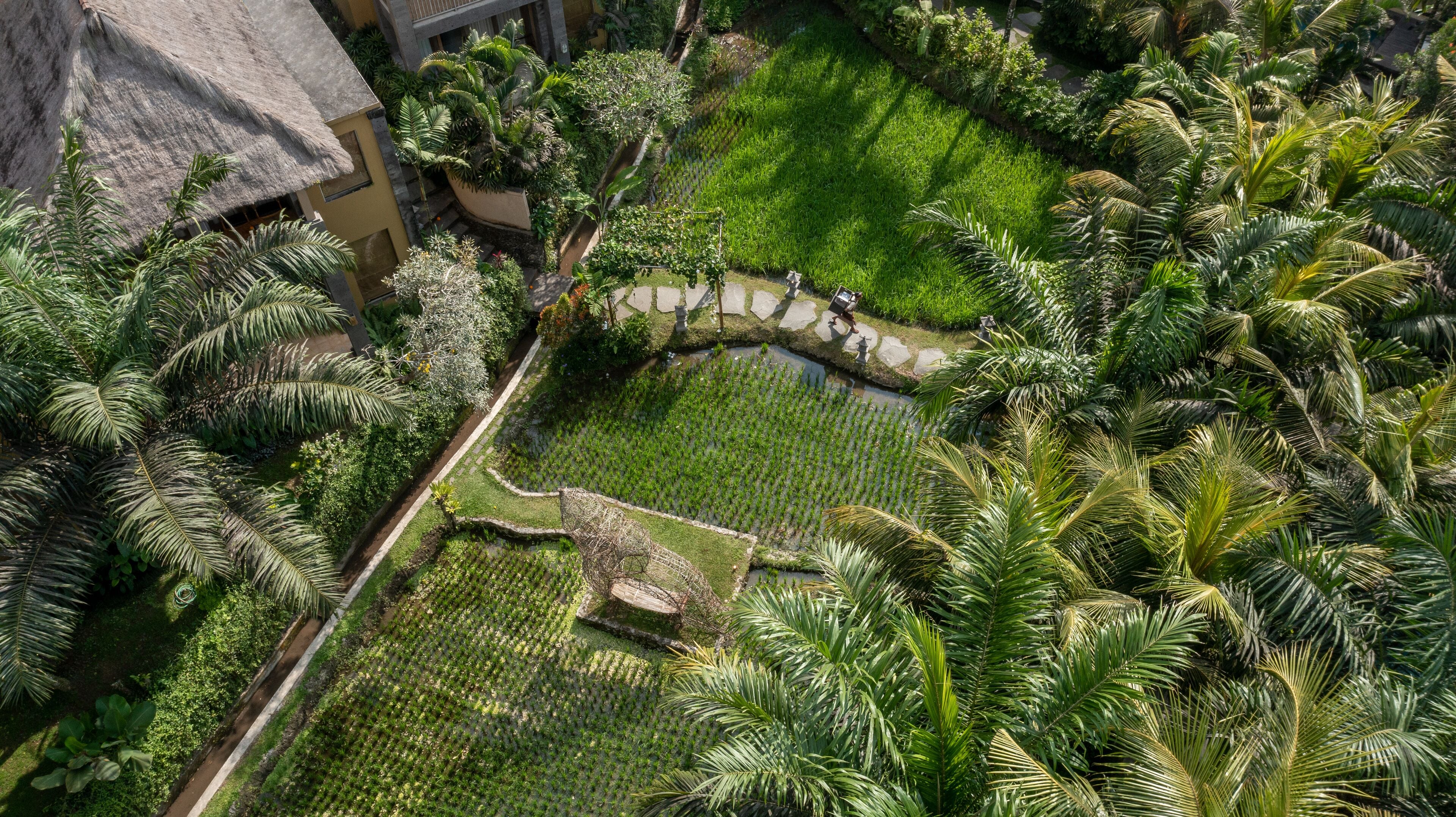 Foto - The Sankara Resort & Spa