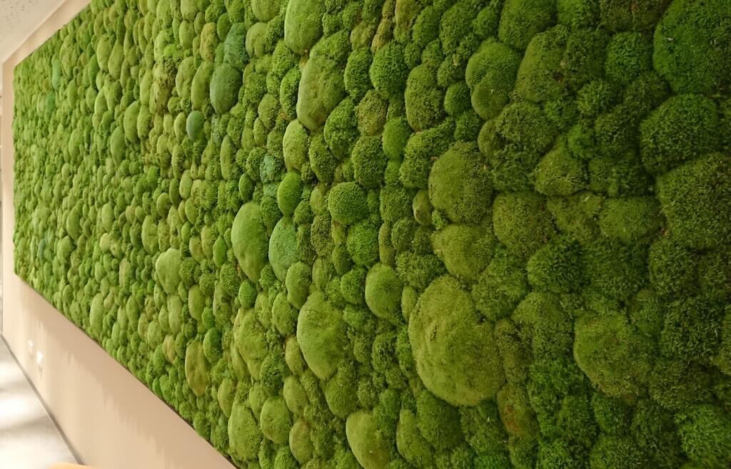 Foto - Adesso Hotel Göttingen