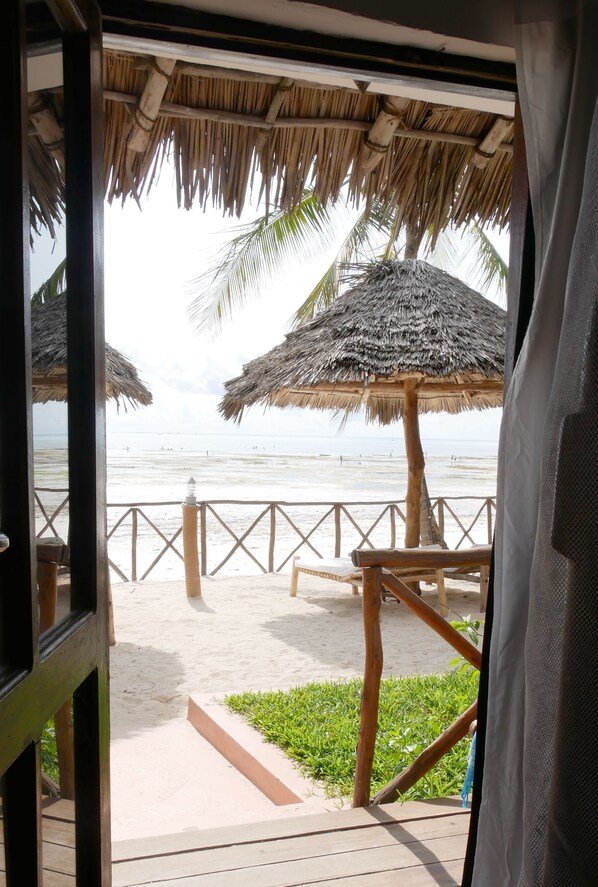Standard Bungalow, Patio, Oceanfront | Terrace/patio