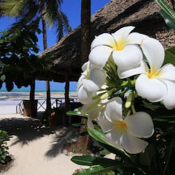 On the beach, beach bar