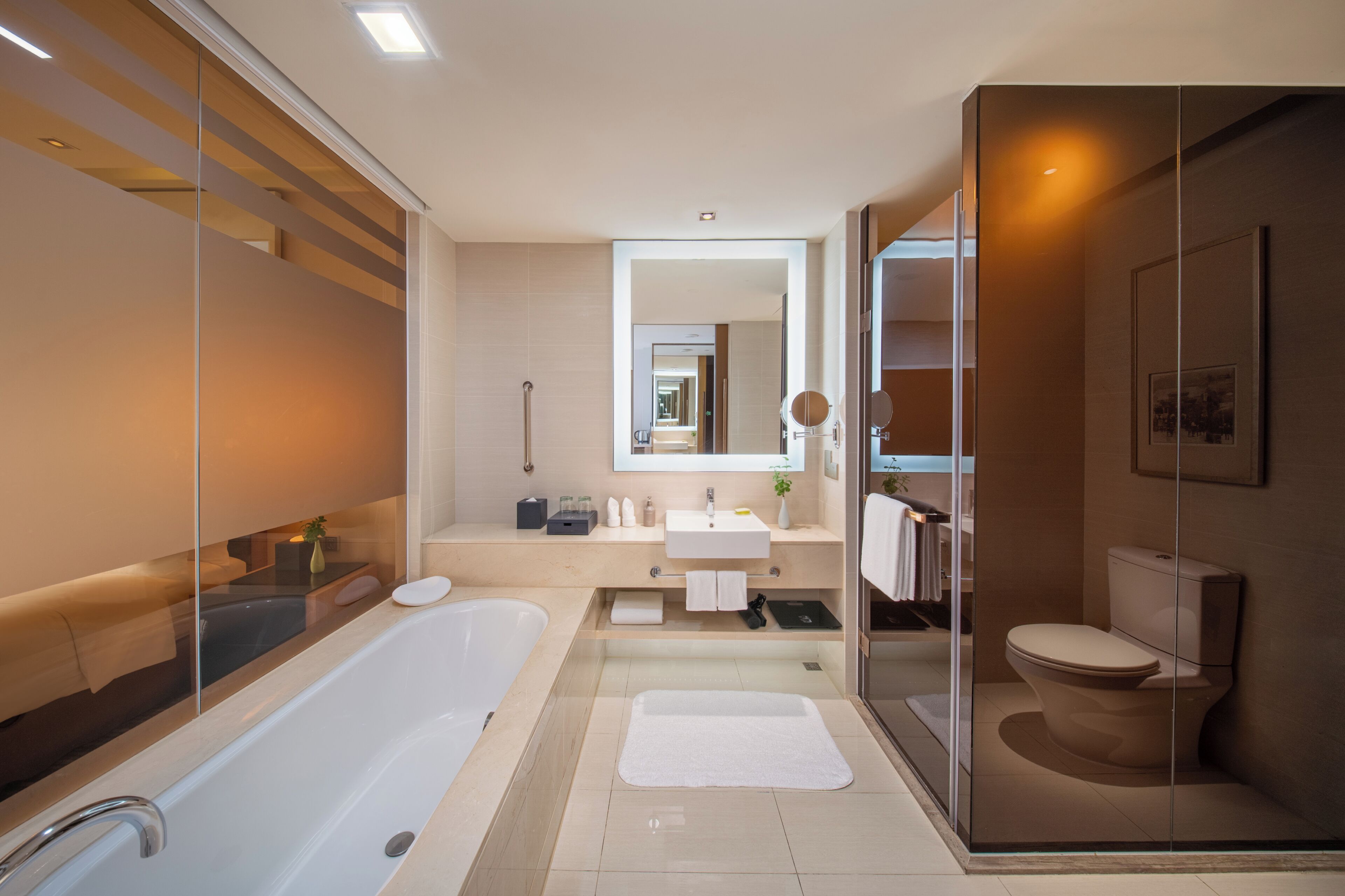 Une salle de bain moderne équipée d’une baignoire, d’une douche et de toilettes.