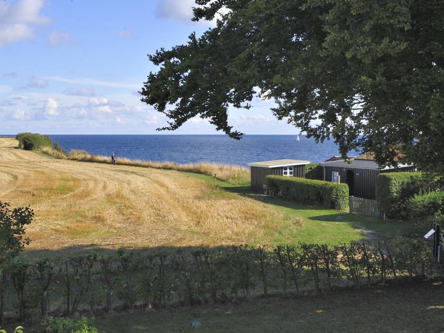 Une propriété située sur la côte, comprenant un vignoble, un petit bâtiment et une vue sur la mer.