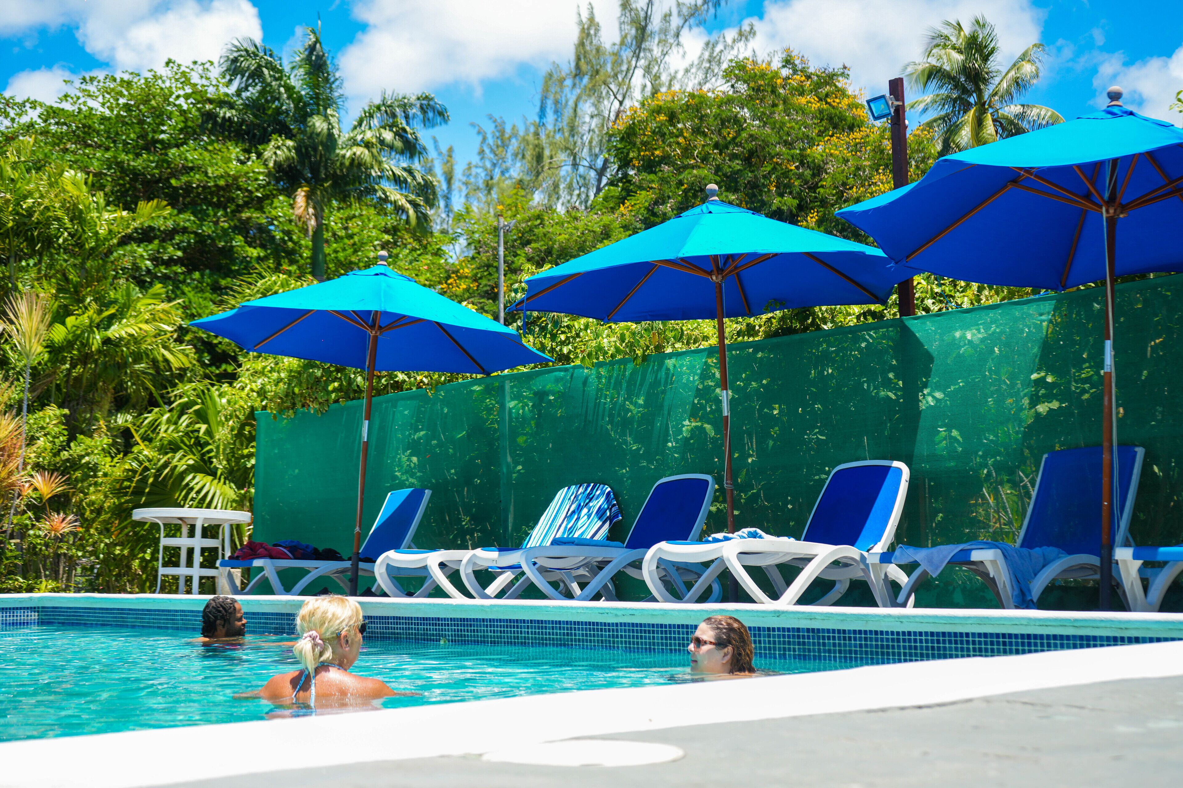 Outdoor pool, pool umbrellas, pool loungers