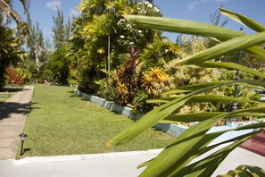 A well-maintained garden with a variety of tropical plants and a paved walkway. - Palm Garden Hotel (Worthing)