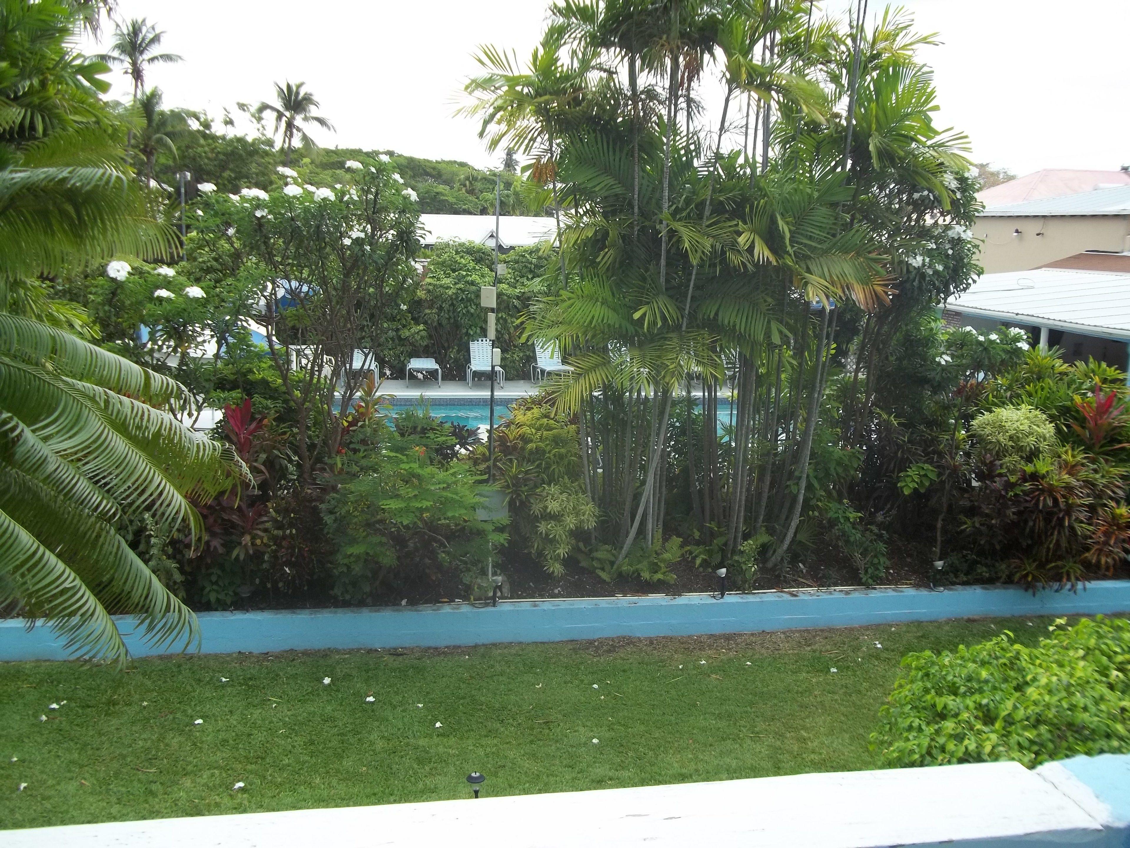 Foto - Palm Garden Hotel