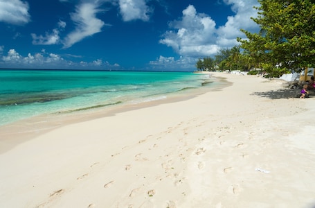 Beach nearby, beach shuttle. Palm Garden Hotel