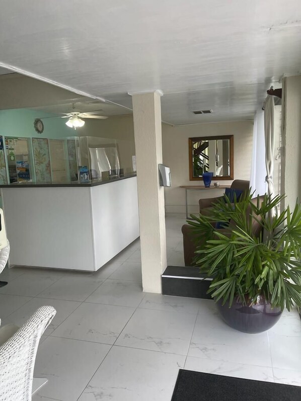 A reception area with a counter, a large potted plant, a chair, and a mirror on the wall. - Palm Garden Hotel (Worthing)