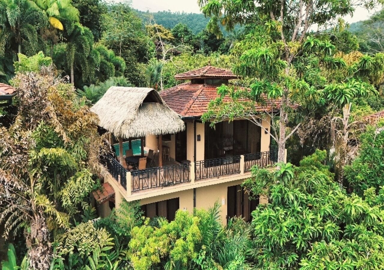 Literie de qualité supérieure, couette en duvet d'oie