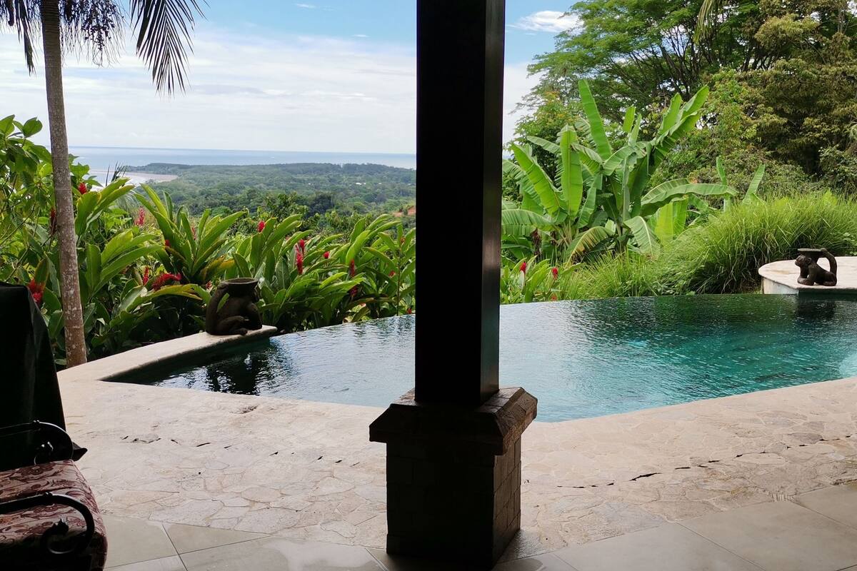 A pool with a view of a lush landscape, surrounded by tropical plants and a gazebo with chairs.