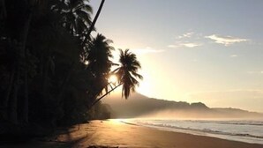 A beach with palm trees and a sunset.
