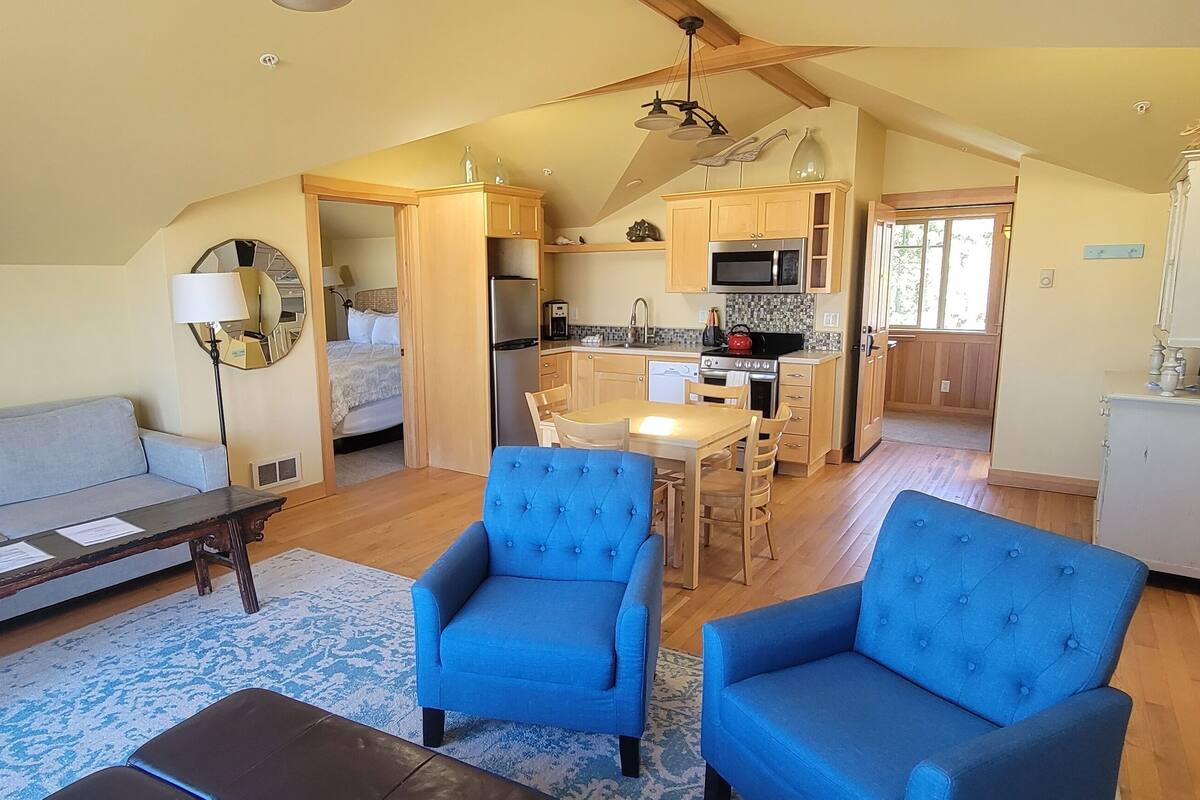 A spacious living area with a sofa, two blue armchairs, a wooden coffee table, and a dining table with chairs. A kitchen with wooden cabinets and appliances is visible in the background.