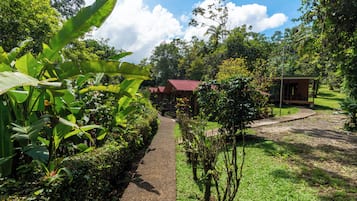 Bungalow Familiar | Terrace/patio