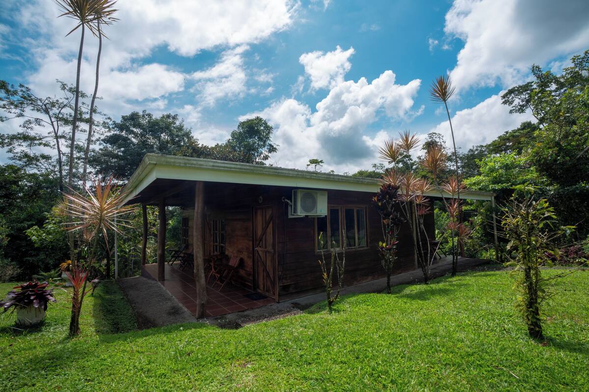 A wooden house with a porch, surrounded by lush greenery and tall palm trees.