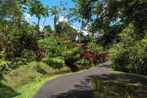 Standard Bungalow | Premium bedding, free WiFi, bed sheets - Villas Josipek (Peñas Blancas)
