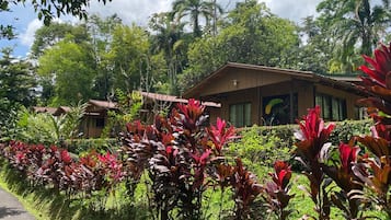 Familie bungalow, 1 slaapkamer (Bungalow Familiar, Kitchenette) | 1 slaapkamer, luxe beddengoed, gratis wifi, beddengoed