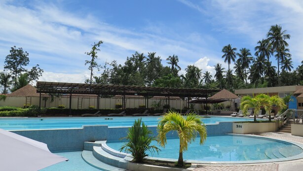 A swimming pool with a sunshade, palm trees, and a covered area with lounge chairs.