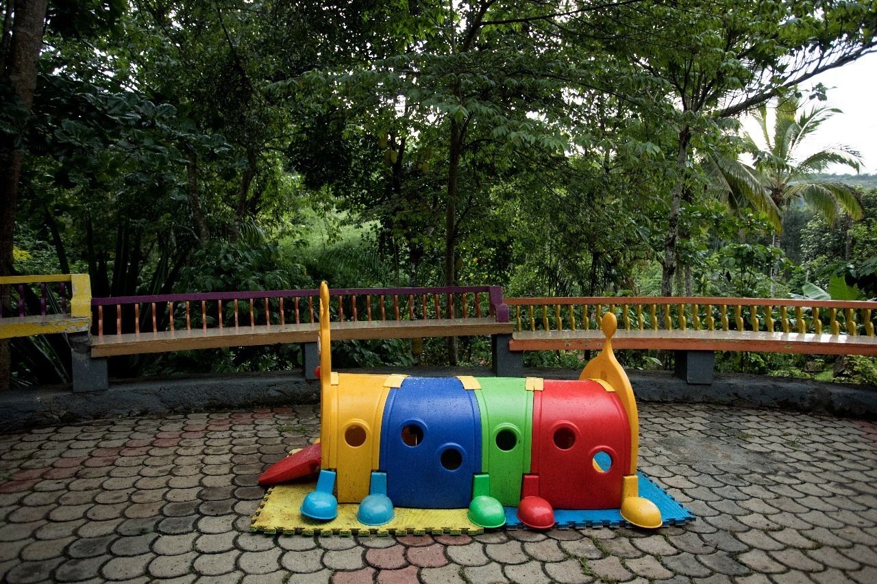Estructura de juegos infantil colorida con un puente en un parque.